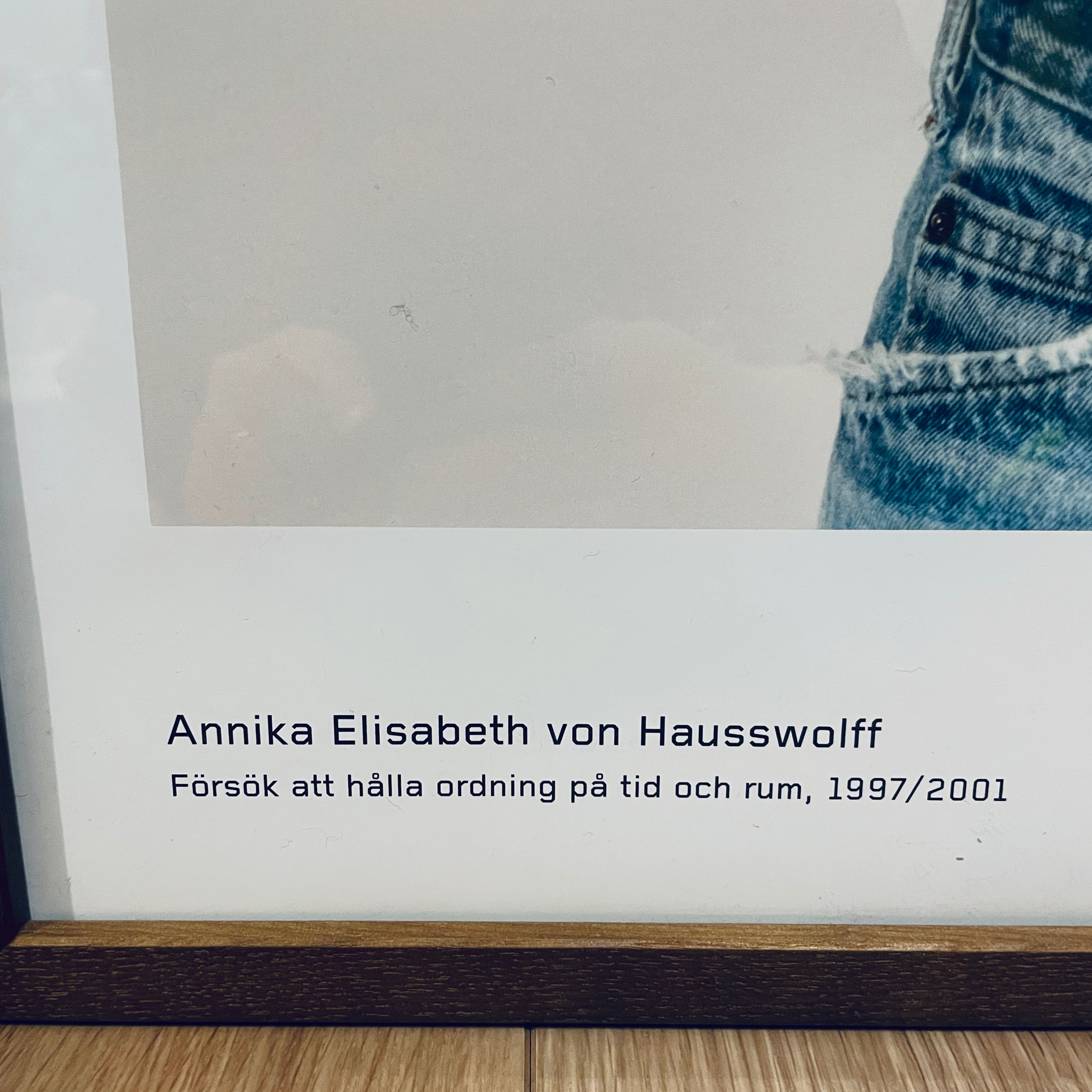 スウェーデン限定】特注額装付き アニカ・エリザベス・フォン・ハウス 